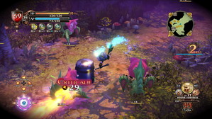 ꡼ No.017 | ɴʼ2סŵءȥåɤʤɤξ󤬸ƮƥϡȥɤȥڥɤȤäǤ