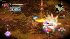 ꡼ No.011 | ɴʼ2סǡ軰δפɴʼΥեåȡȡʤɤ侮Ӥ椦󤬱餸ȳɤξ