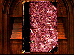 ꡼ No.005 | ȥॷ祦20159󡡥ɥ饹ΥҥåȺMYSTפȤϡɤΤ褦ʥäΤ