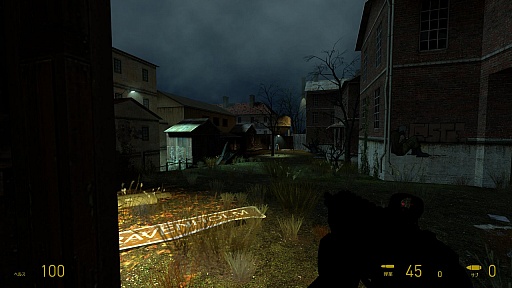 ꡼ No.029Υͥ / ȥॷ祦201635󡡥ԥ3ɤعԤäΤˤʤäƻʤHalf-Life 2פǡҥåFPSθƤߤ