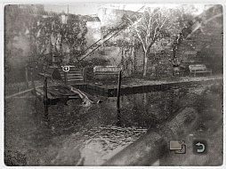 ꡼ No.021Υͥ / ȥॷ祦201638Ϣ³ͻɤStill LifeפǡߤʤΤ˥äȤƤߤ褦