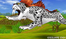 ꡼ No.007 | 3DSǡ֥ɥ饴󥯥VIIIפϥǥ󥰸ˤʤǤɲá̤ΤΥ󥸥õΤ