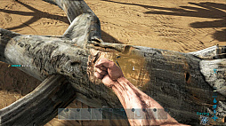 画像ギャラリー No.014のサムネイル画像 / 「ARK:Survival Evolved」,「恐竜」「サバイバル」「クラフト」などのゲームシステム情報が公開。プレイシーンを収録したイントロダクショントレイラーも