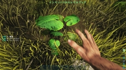꡼ No.006Υͥ / PS4ǡARK: Survival Evolvedץץ쥤ݡȡε⤹ǡץ쥤䡼줾ΥǥХХ褬ڤ