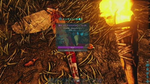 ꡼ No.019Υͥ / PS4ǡARK: Survival Evolvedץץ쥤ݡȡε⤹ǡץ쥤䡼줾ΥǥХХ褬ڤ