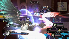 ꡼ No.030 | ֤ΤʤˡפƮƥ򤪤餤㤬ܤѿȷ֥֡ʥȥᥢեפΥӥ奢