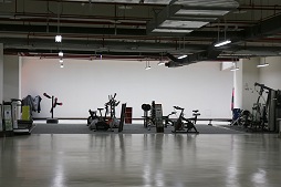 ꡼ No.034 | Web֥饦ǤǤ벣륢ֻﵪWEBפȤϤɤʥफIGSܼҤ˹ԤäƤʹƤ