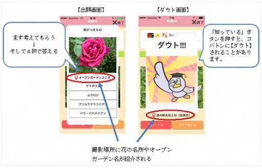 画像ギャラリー No.004のサムネイル画像 / 「花の名前ダウト」の姉妹アプリ「花の名前ダウト 埼玉は花なんです」配信