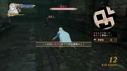 ꡼ No.009 | ֥륹顼ﵭ̵СDLC16Ƥۿҥ᥹ȥǤΥʥꥪо