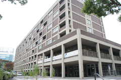 ���������꡼ No.002�Υ���ͥ������ / έ�������ब�ϲ�Ŵ���ѤΥޥʡ���ƤӤ����롣�ֻ�Ԣ�֡ס߲��ͻԸ��̶ɥ������åפξܺ٤��������줿���Բ񸫤��ݡ���