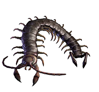 ꡼ No.017 | ֥Хϥ0 HDޥסХϥ0ħ롤ɤդȤ꡼㡼ãλѤ