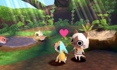 ���������꡼ No.016�Υ���ͥ������ / �֥��ϥ����� �ݤ��ݤ������롼¼DX�ץ���å��̿��̸�����ŵ�ξ������餫�ˡ������ߤξҲ�䥳��ܾ����������������PV��2�Ƥ����