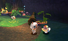 ���������꡼ No.020�Υ���ͥ������ / �֥��ϥ����� �ݤ��ݤ������롼¼DX�ס����о줹�륢���롼�䡤3DS���̿���ǽ��Ȥä�ͷ�Ӥ����餫��