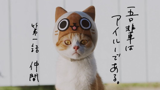 画像ギャラリー No.001のサムネイル画像 / 「ぽかぽかアイルー村DX」，アイルーの生活をイメージした実写CMが公開