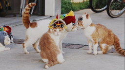 画像ギャラリー No.002のサムネイル画像 / 「ぽかぽかアイルー村DX」，アイルーの生活をイメージした実写CMが公開