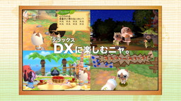 画像ギャラリー No.003のサムネイル画像 / 「ぽかぽかアイルー村DX」，アイルーの生活をイメージした実写CMが公開
