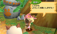 ���������꡼ No.005�Υ���ͥ������ / �֥��ϥ����� �ݤ��ݤ������롼¼DX�ס�¼��ˤ��䤫�ˤ��뤿��˷礫���ʤ�����ֽ���פ˴ؤ�����󤬸���