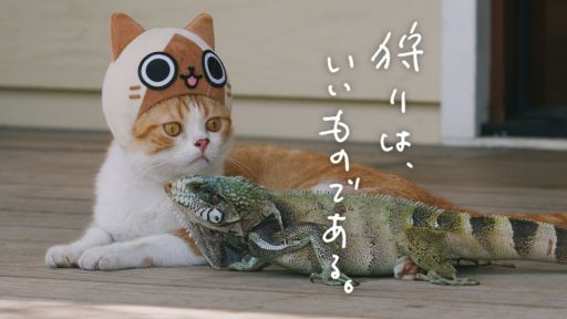 ꡼ No.002 | ֤ݤݤ롼¼DXʪΥͥѤ¼WebCM6ä