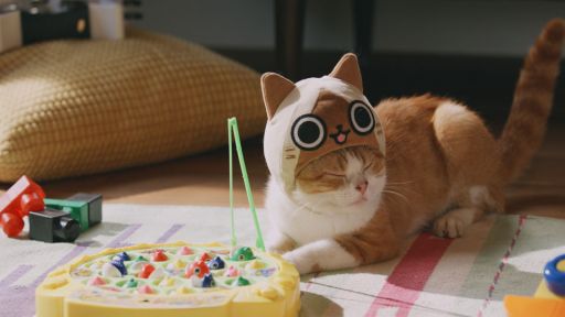 ꡼ No.003 | ֤ݤݤ롼¼DXʪΥͥѤ¼WebCM6ä