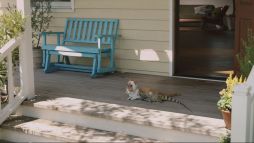 ꡼ No.007 | ֤ݤݤ롼¼DXʪΥͥѤ¼WebCM6ä