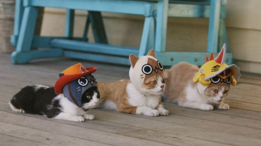 ꡼ No.011 | ֤ݤݤ롼¼DXʪΥͥѤ¼WebCM6ä