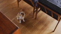 ꡼ No.014 | ֤ݤݤ롼¼DXʪΥͥѤ¼WebCM6ä