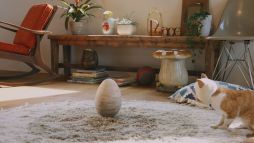 ꡼ No.016 | ֤ݤݤ롼¼DXʪΥͥѤ¼WebCM6ä