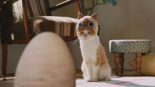 ꡼ No.017 | ֤ݤݤ롼¼DXʪΥͥѤ¼WebCM6ä