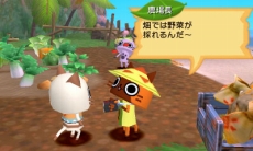 ꡼ No.022 | ֥ϥ ݤݤ롼¼DXס֥󥹥ϥ󥿡פŵ륻֥ǡϢư롼¼λߤҲ