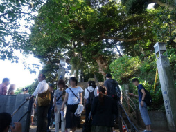 ꡼ No.012 | ϥ򹾤θܥ٥ȡ֥ϥ ݤݤ롼¼DX߹ߥꥢõפ˻äƤ