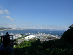 ꡼ No.013 | ϥ򹾤θܥ٥ȡ֥ϥ ݤݤ롼¼DX߹ߥꥢõפ˻äƤ