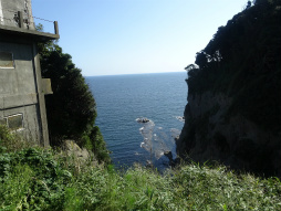 ꡼ No.014 | ϥ򹾤θܥ٥ȡ֥ϥ ݤݤ롼¼DX߹ߥꥢõפ˻äƤ