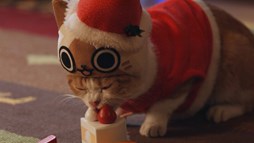 ���������꡼ No.002�Υ���ͥ������ / �֥��ϥ����� �ݤ��ݤ������롼¼DX�פ�WEB CM��7�ä����������ȤǸ���