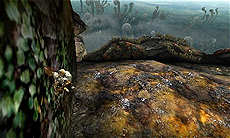 ���������꡼ No.028�Υ���ͥ������ / �֥�󥹥����ϥ󥿡��������ס�14����β�ǽ��������Ф�����/���ĥ������롤�ᥤ���󥹥����ʤɤξ��󤬰�����