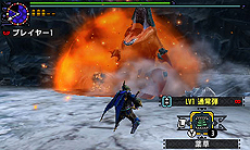 ���������꡼ No.113�Υ���ͥ������ / �֥�󥹥����ϥ󥿡��������ס���14����Ρȼ����ɤ�������