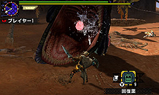 ���������꡼ No.123�Υ���ͥ������ / �֥�󥹥����ϥ󥿡��������ס���14����Ρȼ����ɤ�������