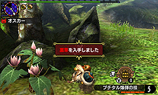 ���������꡼ No.050�Υ���ͥ������ / �֥�󥹥����ϥ󥿡��������ס����ȥ⥢���롼/�˥�󥿡��ΰ�����ˡ�䥪�ȥ⥹����ʤɤξ��󤬸���