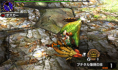 ���������꡼ No.056�Υ���ͥ������ / �֥�󥹥����ϥ󥿡��������ס����ȥ⥢���롼/�˥�󥿡��ΰ�����ˡ�䥪�ȥ⥹����ʤɤξ��󤬸���