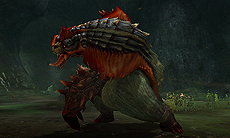 ꡼ No.018 | ֥󥹥ϥ󥿡פˤϡ̾ɤüΥ󥹥о졣֥եåץȥξ