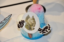 ���������꡼ No.019�Υ���ͥ������ / �����������Ǥ����ΤΤ���󥹥�������ͤ��衣��������Ԥ���֥�󥹥����ϥ󥿡������� in �ʥ󥸥㥿����פΥ�ǥ�����������ݡ���