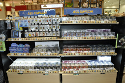 ���������꡼ No.031�Υ���ͥ������ / ���������ץ󡣥��ץ��󥲡�������������θ��Ǥ��륳�󥻥ץȥ��ե��֥��ץ��󥫥ե��פΥ�ǥ����������٥�Ȥ��ݡ���