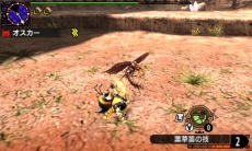 ���������꡼ No.014�Υ���ͥ������ / �֥�󥹥����ϥ󥿡��������פǥ�˥����ȤΥ���ܥ�������2�郎�ۿ����ϡ������T����Ĥ�Ź�ޤ䥪��饤�󥹥ȥ���������