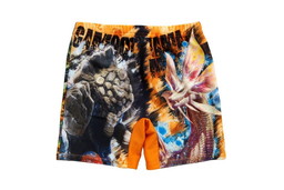 画像ギャラリー No.006のサムネイル画像 / 「モンスターハンタークロス」デザインの海パンやゴーグルなどが4月に発売