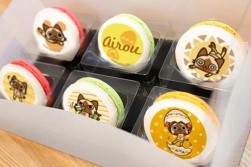 ꡼ No.005Υͥ / 롼Υץץꥱޥ󥻥åȤȯ