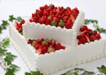 ꡼ No.004 | ֥󥹥ϥ󥿡ߥǥ󥰥եƥХפʡ8˳ŷ