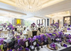 ꡼ No.006 | ֥󥹥ϥ󥿡ߥǥ󥰥եƥХפʡ8˳ŷ