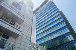 ꡼ No.002 | Zenfone 3꡼ϥȱɤ˿ǽASUSܼҤǿޡȥեΥݥȤʹƤ