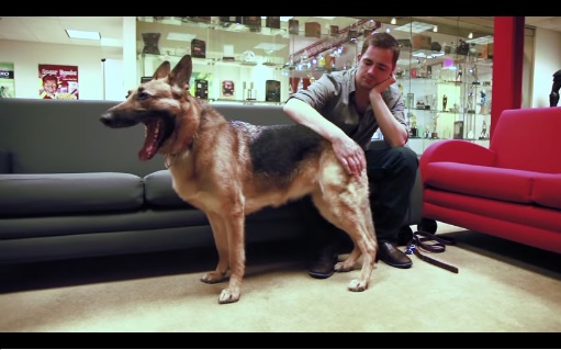 Fallout 4 の最新トレイラーが公開 ジャーマンシェパードのコンパニオン ドッグミート はレベルデザイナーの愛犬が熱演