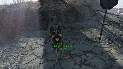 ꡼ No.045 | ˾꡼ǿFallout 4פΥץ쥤ݡȡ٤Ƥʲȥɤǡ¤Τ