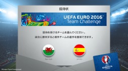 ꡼ No.003 | ֥ ֥ޥ͡㡼ץ٥ȡUEFA EURO 2016󥸡פ򳫺